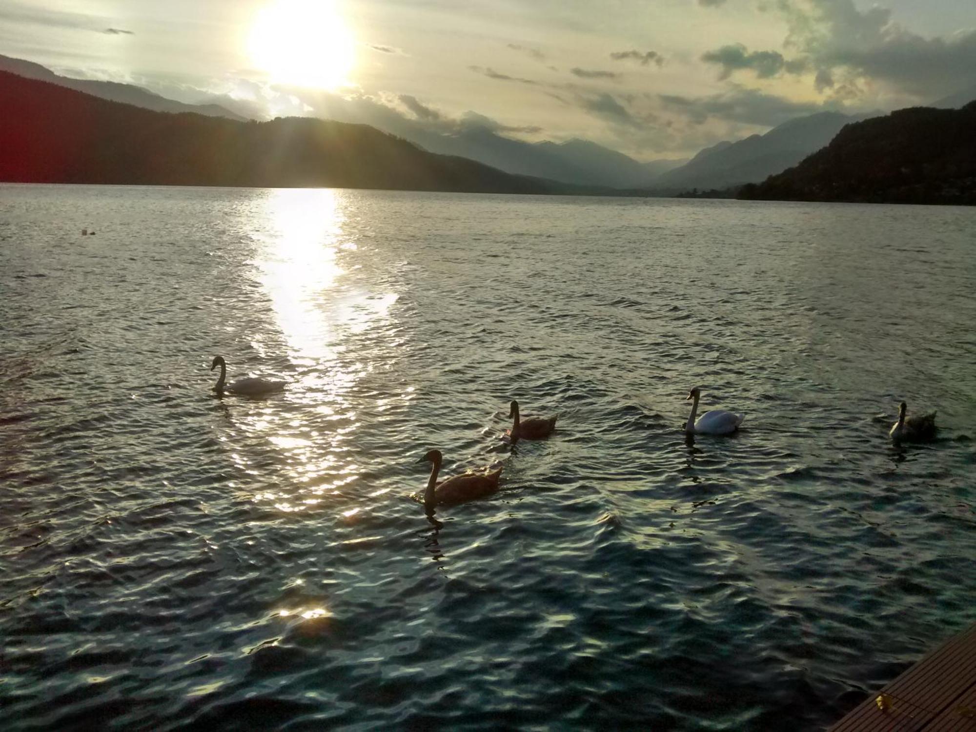 Ferienwohnungen Fischerhaus - Direkt Am See Millstatt Eksteriør billede