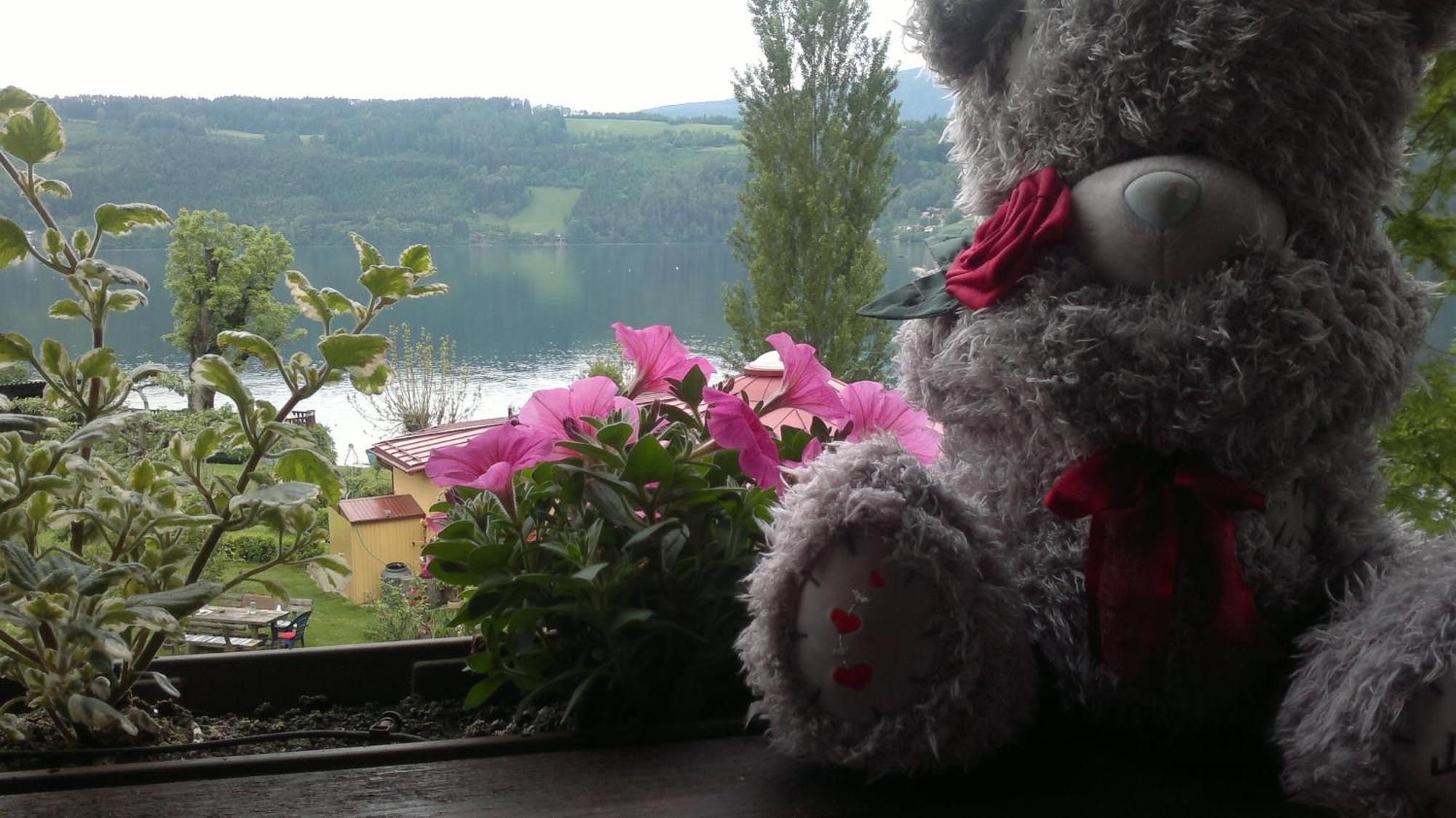 Ferienwohnungen Fischerhaus - Direkt Am See Millstatt Eksteriør billede